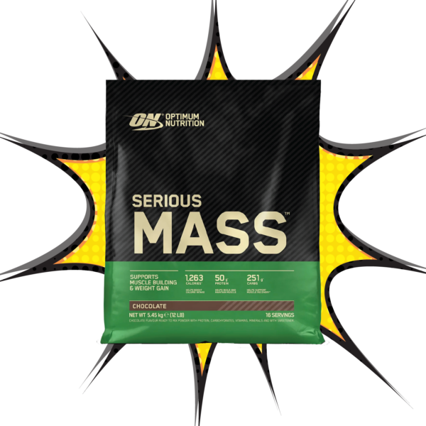 Optimum Nutrition Serious Mass weight gain powder in chocolate flavour